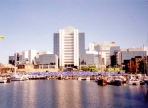 mark whitfield stkatherinesdock10thworkplace1997