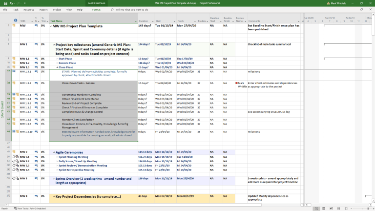 Project Tracking Templates including RAID log (risk, action, issue ...