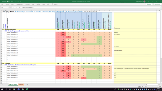 RACI Microsoft Project Plan Excel template 2017 Mark Whitfield RACI MS Plan