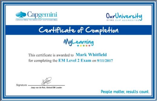 Capgemini Engagement Manager is a senior-level, client-facing role ...