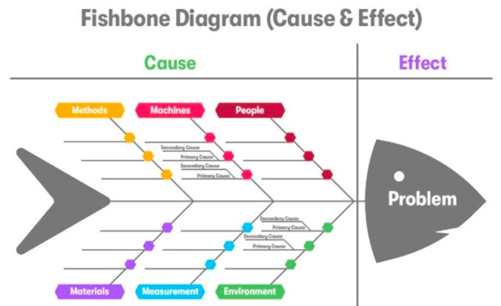 Categorize via Fishbone (Ishikawa) Diagram